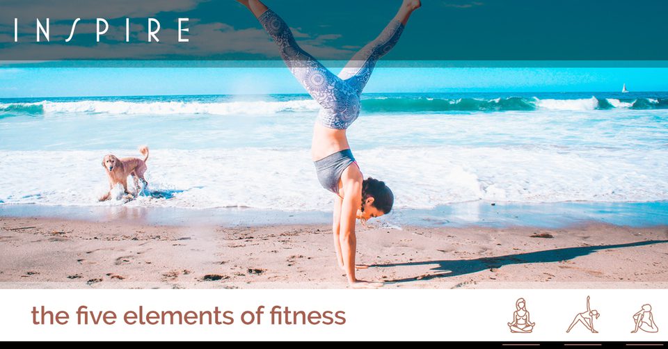 Bodyweight Fitness Seattle:The five elements of fitness - Inspire Seattle
